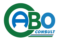 Cabo consult